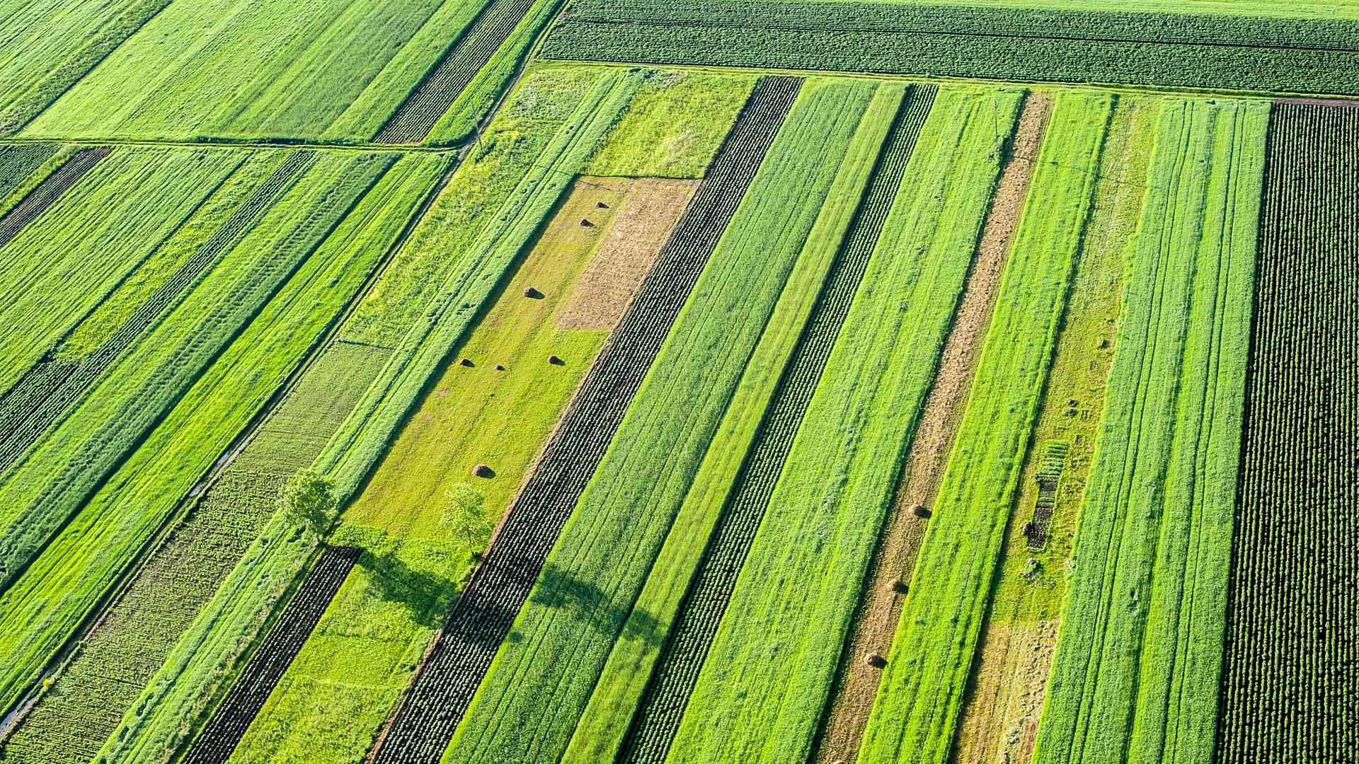 Registration is open for Face to Face course on Parcel-based Crop Monitoring from Space
