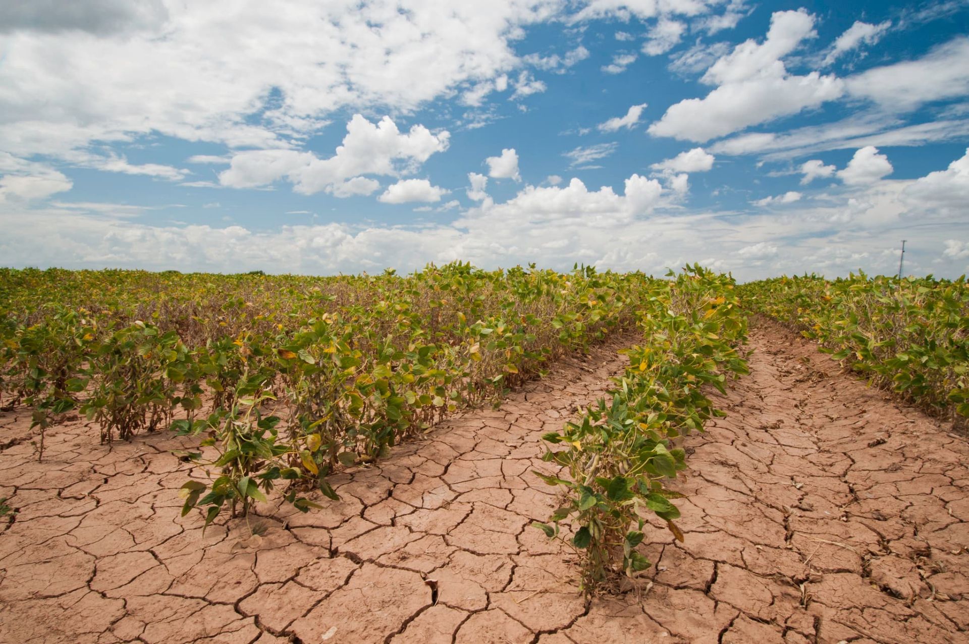 Registration is open for Face to Face course on Agricultural Drought Monitoring from Space