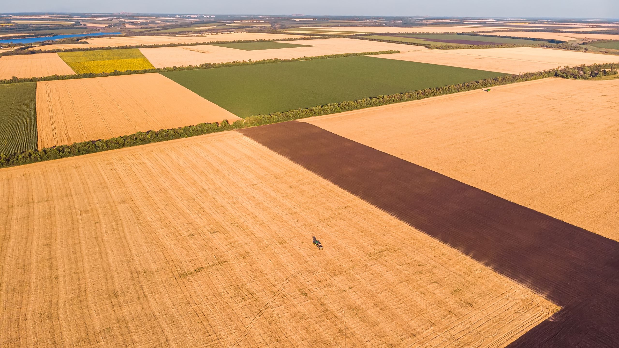 Registration is open for Face to Face course on Assessing vegetation dynamics from space with cloud-based EO analyses